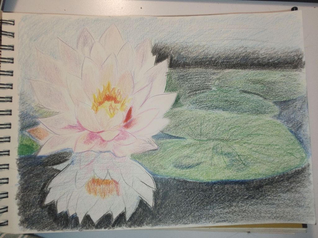 img_20250110_2358140465303312686490316559