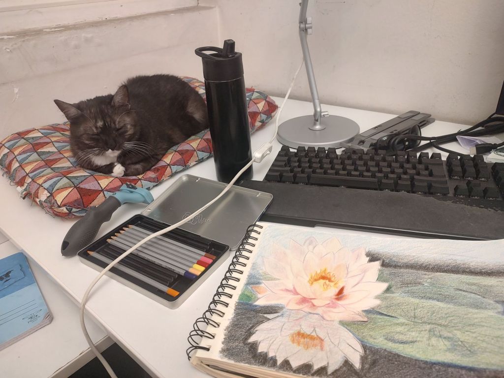 img_20250110_235853824_hdr7665937200947659535