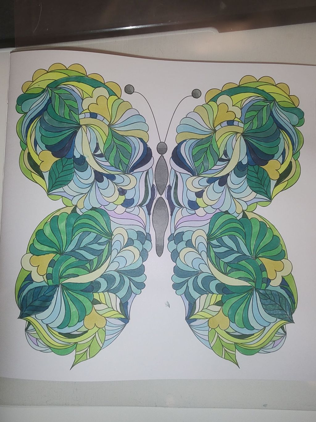 img_20250114_220443280937247063488914136