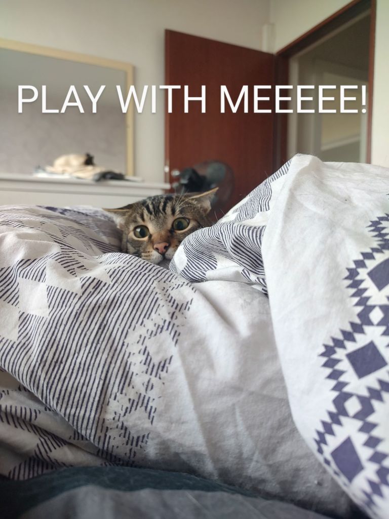 img_20250115_090727674_hdr~23697955920755129301.